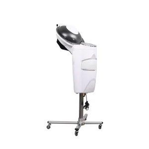 Beauty Salon O3 Mist Mini Hair Steamer Ozone Hair Steamer for Home Use