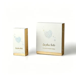 Custom Blister Box Rose Gold Magnetic Flip Rigid Box 2 Sizes Foam Insert Hair Care Cosmetic Packaging Bag & Skin Care Box