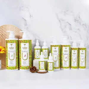 Customization Factory Supply Hair Regrowth Treatments Herbal Extracts Ginger Shampoo Care for Hair Loss