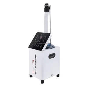 DTY Professional Lightweight Full Automatic Mini Hair Steamer Handheld Portable Nano Micromist Moisturizer Smooth Hair Steaming