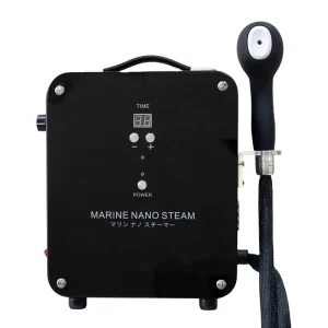 DTY Professional Table Style Blue Light Hair Care Steamer with Nano Mist Sprayer for Smooth Hair Treatment CE Certified