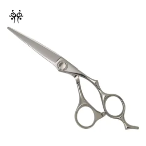 Economy Handle 6.0 Inch Professional Hair Cutting Scissors Hairdressing Straight Shears for Hair Beauty Salon