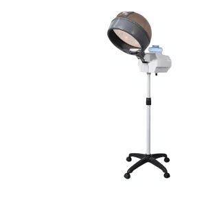 Factory Full Automatic Portable Steam Care Hair Dryer for Hair Salon Home Use Quick Heating Intelligent Voice