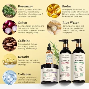 Hair Care Set for Repairing Growth Anti dandruff Nut Oil Rosemary Custom Keratin Shampoo and Hair Care Set