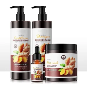 Hair Care Sets Shampoo and Conditioner Anti Hair Loss Hair Growth Shampoo Ginger Anti Dandruff Shampoo