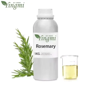 Hair Oil Essential Oil Aromatherapy Massage Skin Care 100% Pure Natural Rosemary Essential Oil in Advance