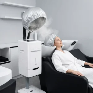 Hair and Face Hair Salon Full Automatic Negative Salon Equipment Ion Micro Mist Machine Hair Steamer Stand Hair Treatment