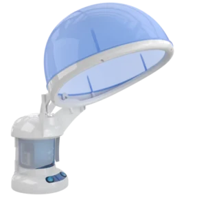Kingwin Ozone Micro Mist Hair Steamer hair Steamer Beauty Equipment for Home Use