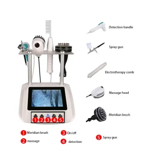 Meridian Brush Hair Electrotherapy Comb Hair Massage Device