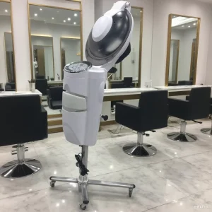 Micro Mist Hair Steamer O3 Ozone Spa Machine Salon Equipment for Hair Salon