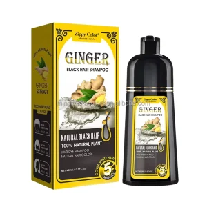 New Arrival Black Shampoo Hair Dye Private Label No Skin Stained Natural Ammonia Free Herbal Permanent No Scalp Damage