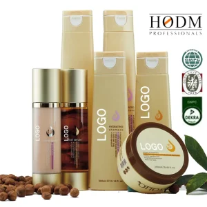 OEM Hair Shampoo Manufacturer Private Label Sulfate Free Argan Oil Anti Dandruff Shampoo and Conditioner Set for Dry Hair Repair