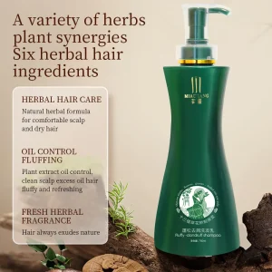 OEM ODM 750ml Ginger Shampoo for Hair Care Refreshing Hair Growth & Repair Smoothing and Anti-Dandruff Effects