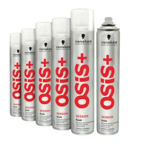 OEM ODM Hair Spray Strong Hold Hair Spray