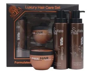 OEM ODM Natural Hair Care Products No Sulfate Argan Oil Shampoo Hair Care Sets for Dry Frizzy Hair