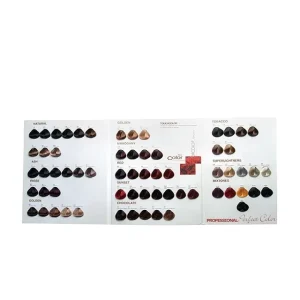 OEM Professional Hair Color Chart for Hair Salon Useful Bright Different Size and Style Choosing Sample Book