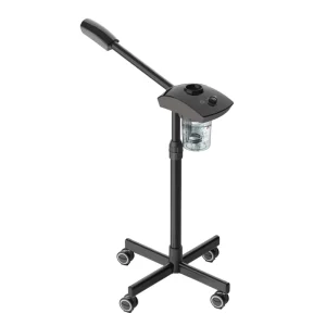 Popular Hair Beauty Salon Profession Ionic Ozone Face Facial Steamer