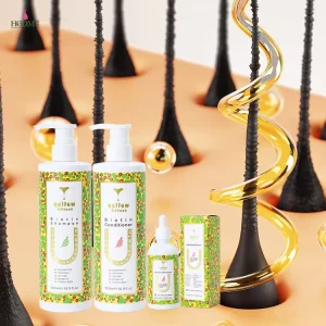 Private Label Ginger Hair Growth Serum Nourishing Strengthening Scalp Anti Hair Loss Treatment Rosemary Shampoo and Conditioner