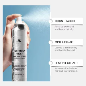 Private Label Vegan All Hair Types Oil Control Organic Fluffy Spray Oily Hair Volumizing Dry Shampoo Spray