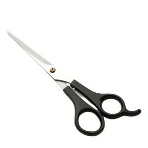 Professional Hair Scissors 6 Inch Hairdressing Scissors for Salon and Home OEM Customized Steel Stainless