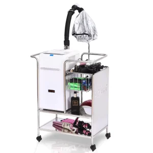 Professional Stainless Steel White Black Full Automatic Portable Multi Temperature Hair Spa Steamer with Trolley for Salon Use